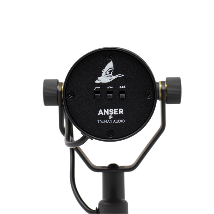 Anser Mod DIY kit for Shure SM7B