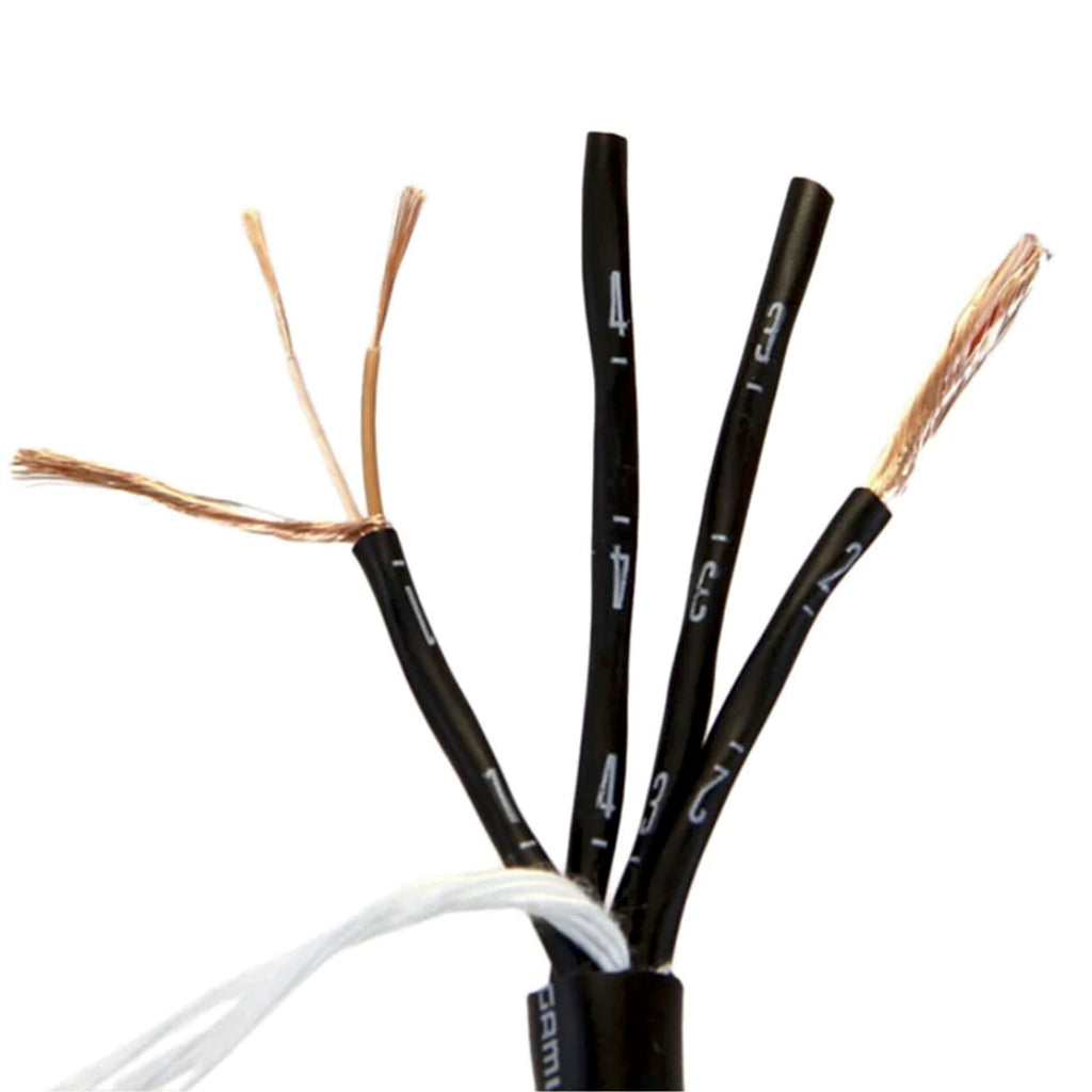 2931_1_1024x1024.jpg?v=1683087685