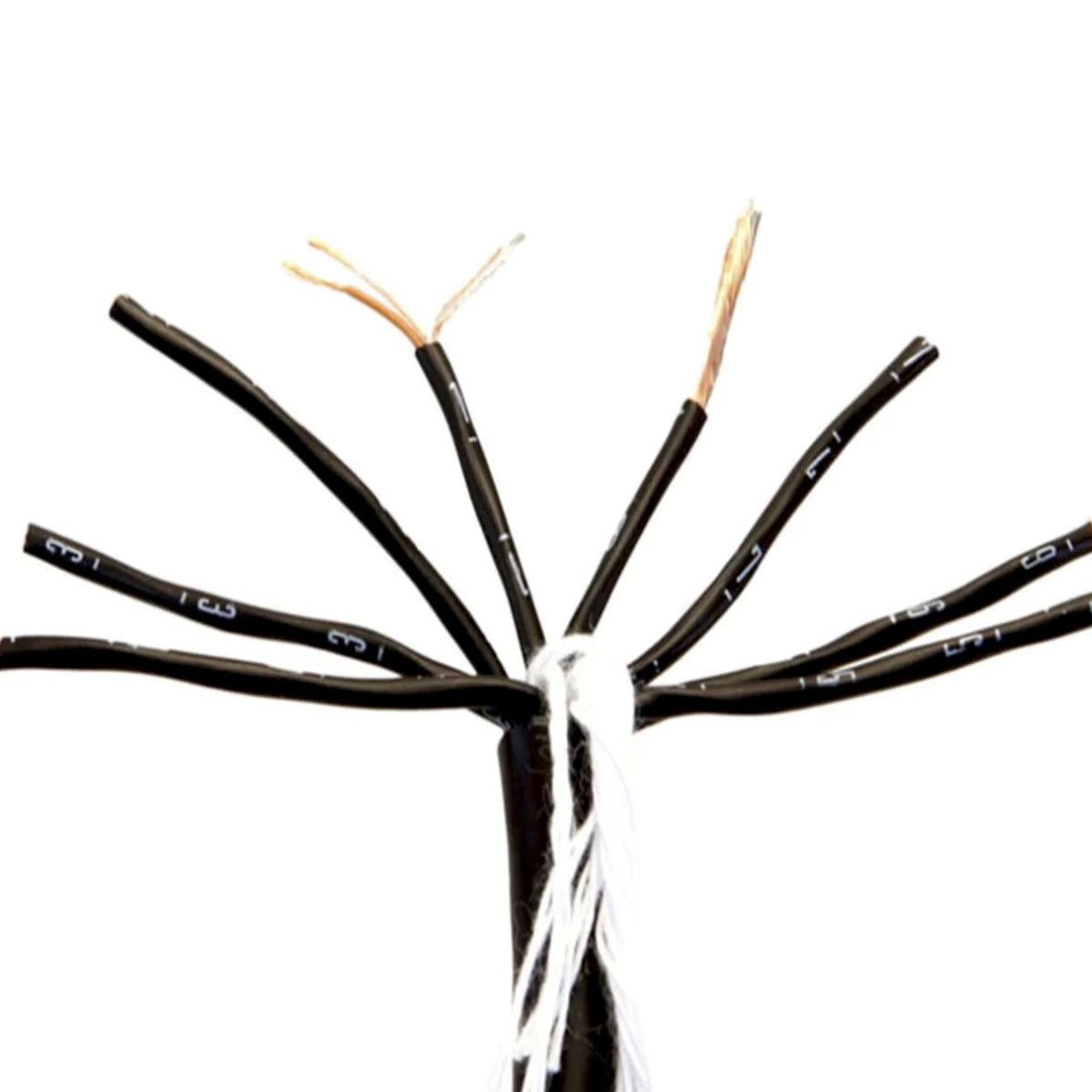 Mogami 2932 8-Channel Audio Snake Cable (W2932) (Per Foot) — Trace ...